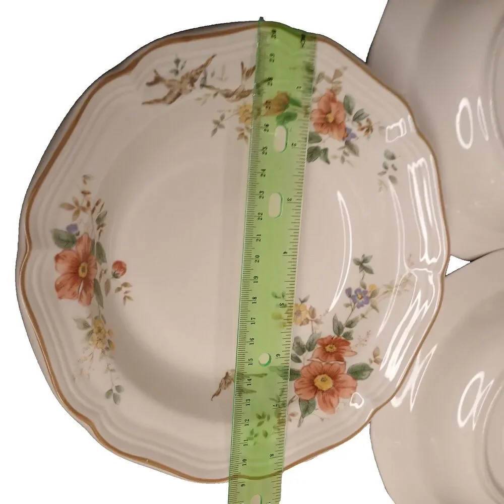 Mikasa Heritage Capistrano 4 Rim Soup Bowl 8 1/2
